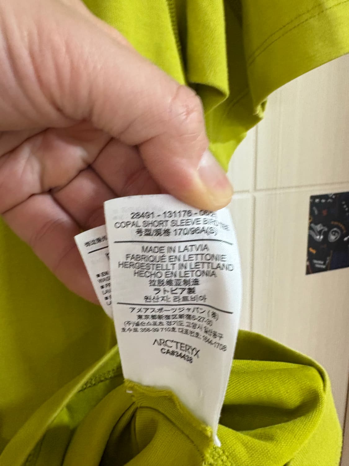 아크테릭스 시스템A 코팔 티셔츠 상품이미지5