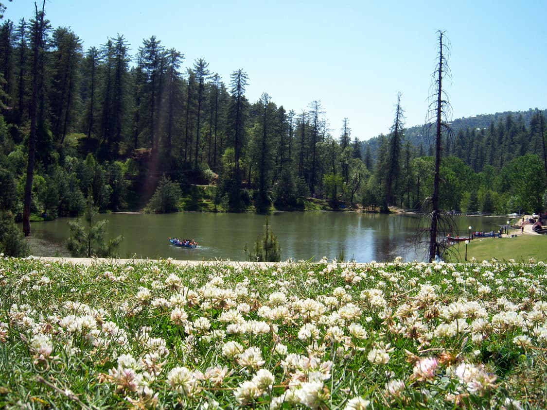 코닥 이지쉐어 Kodak easyshare V1003 빈티지디카 디카 상품이미지10