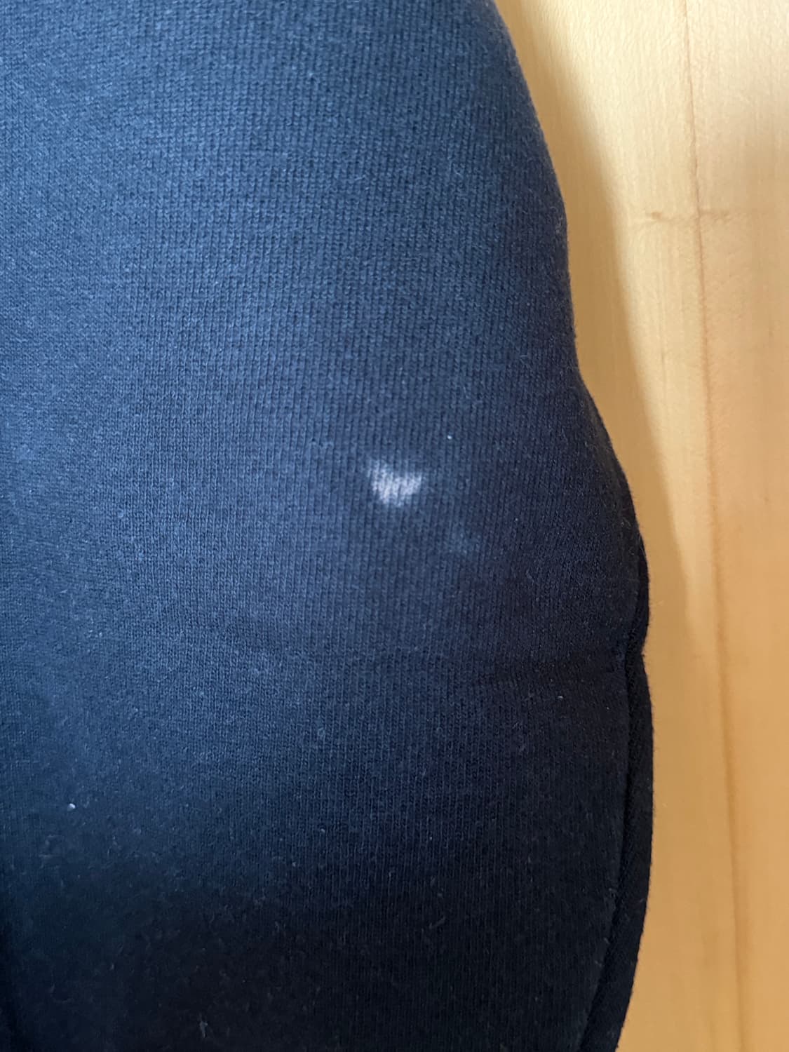 챔피온 빅사이즈 후드 상품이미지3