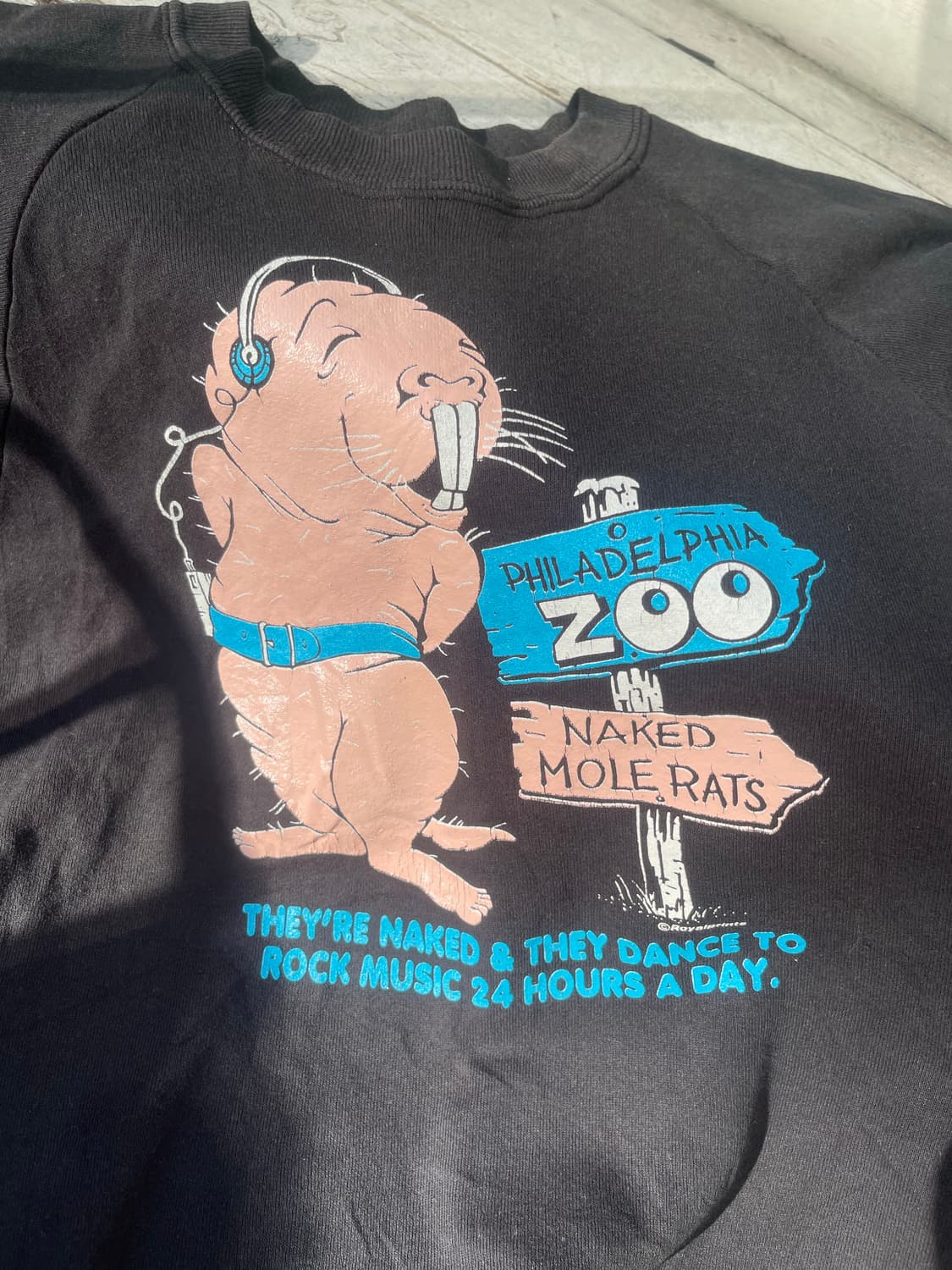 90s 플룻오브더룸 스웻셔츠 L사이즈 상품이미지3