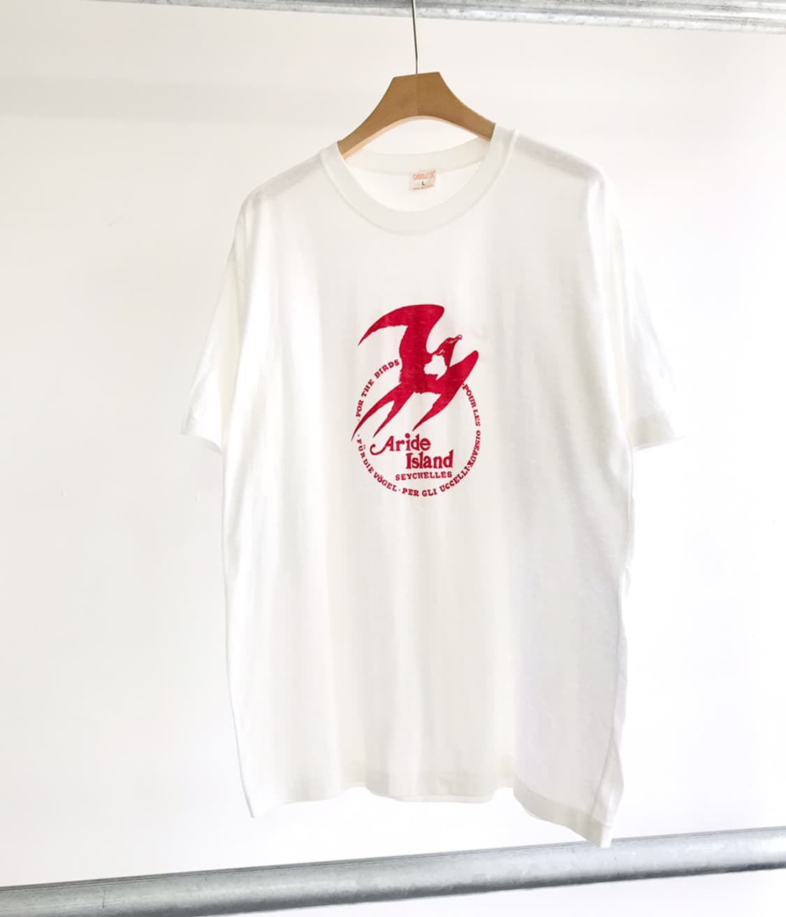 CATTLEYA 상품이미지2