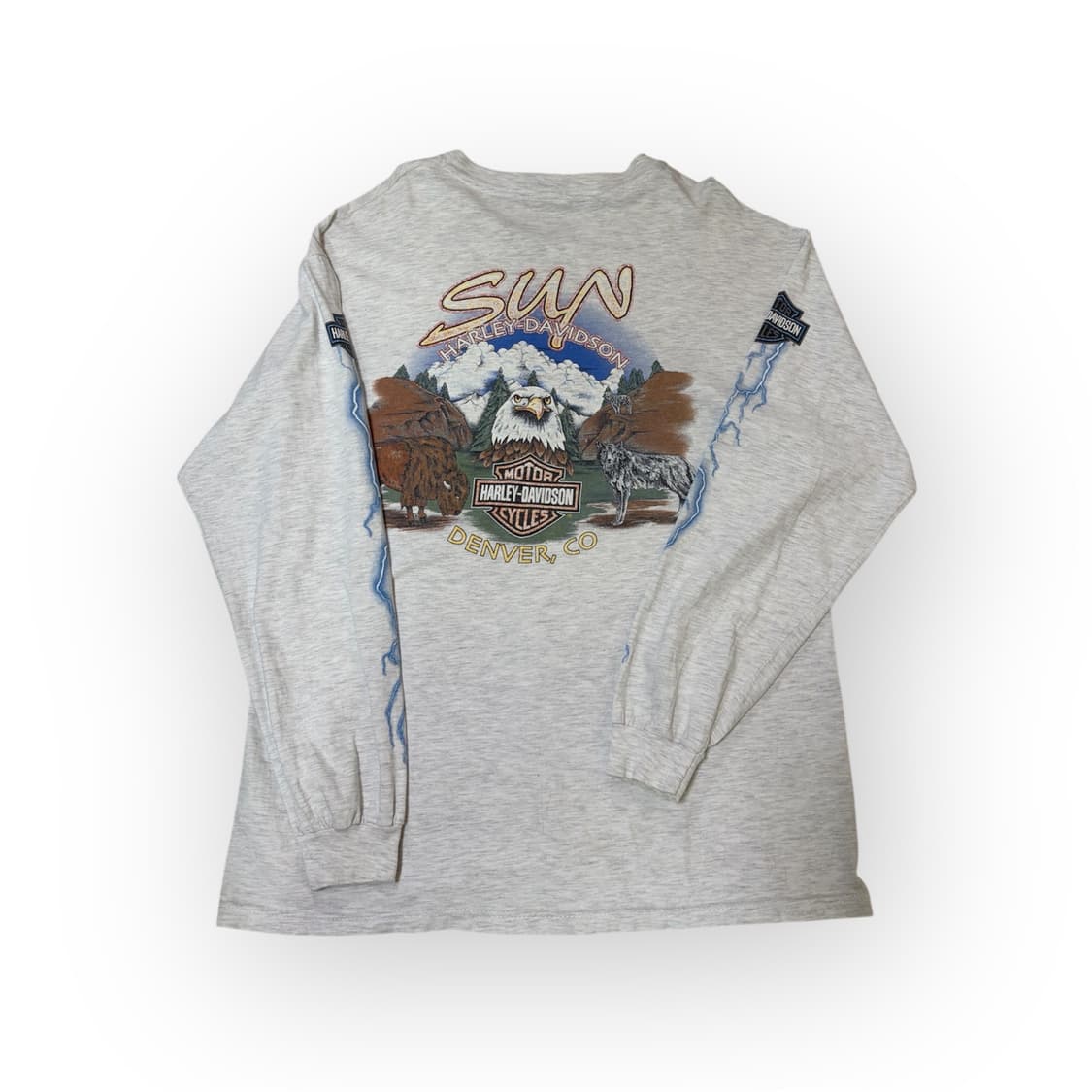 1995 Harley-Davidson Lightning Long Slee 상품이미지5