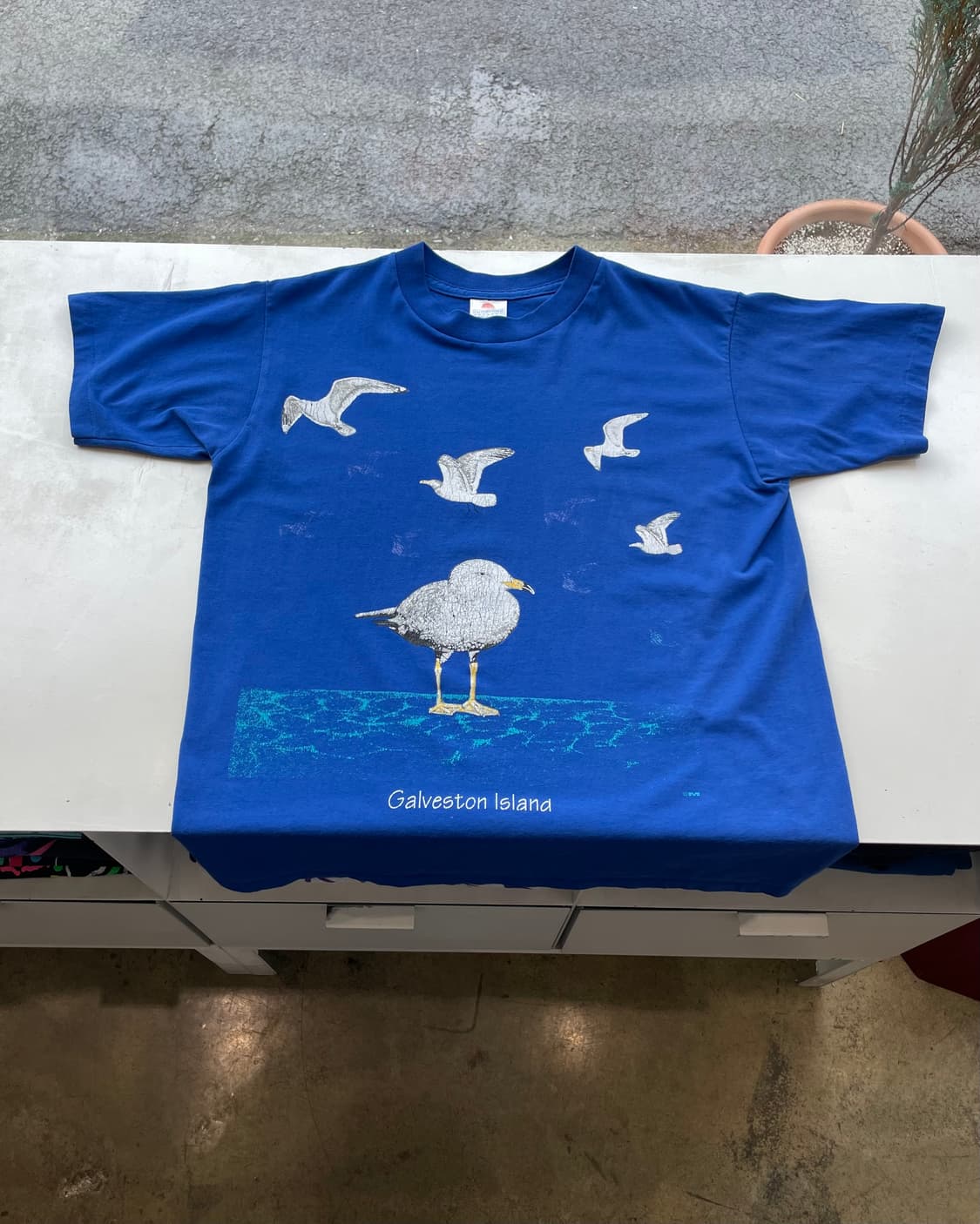 90‘s USA “Galveston Island” 🕊️ T-shirt 상품이미지4