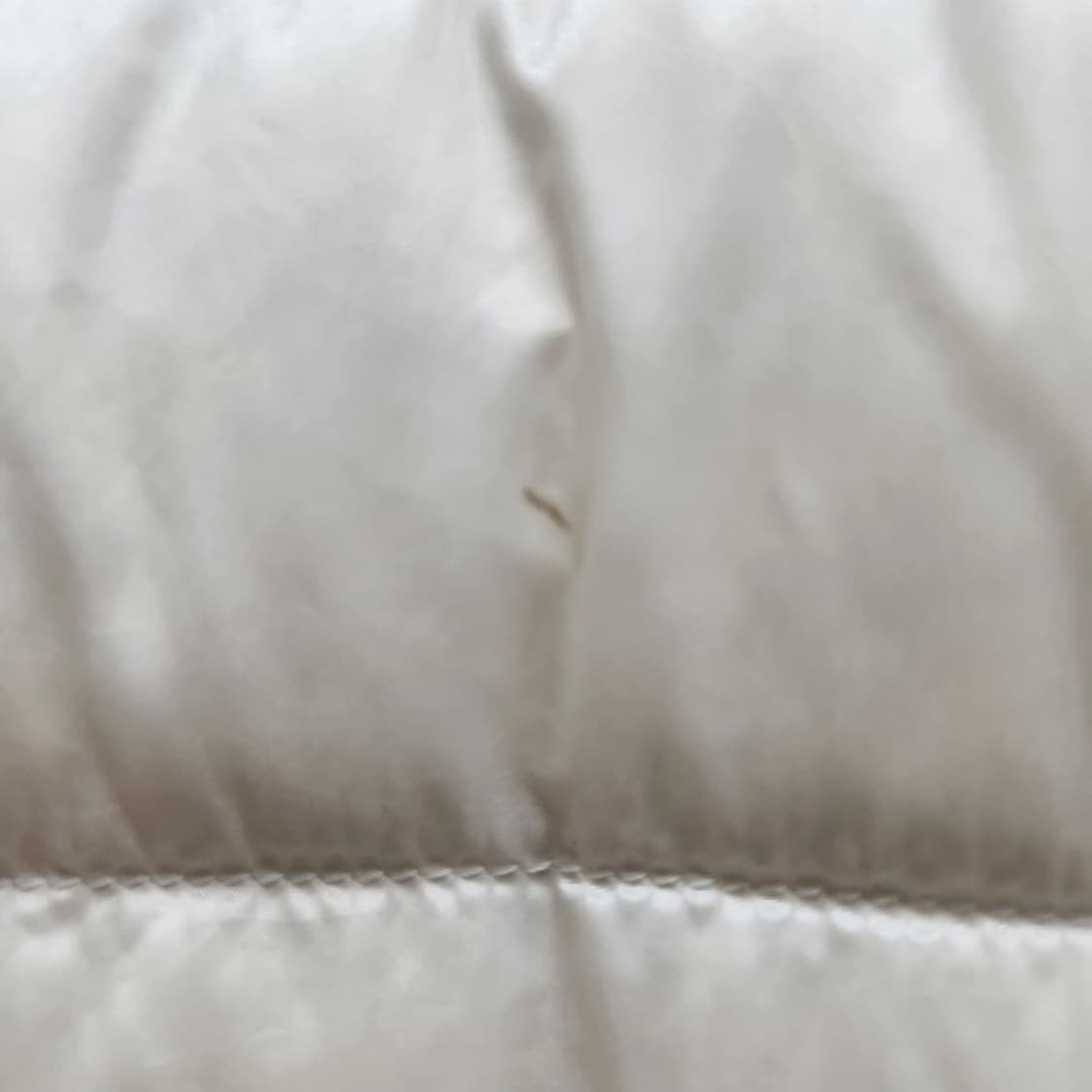 유니클로 경량 후드 덕다운패딩 M 상품이미지4