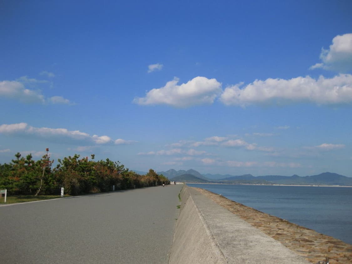 캐논 익서스 Canon IXUS 80 IS 핑크 상품이미지3