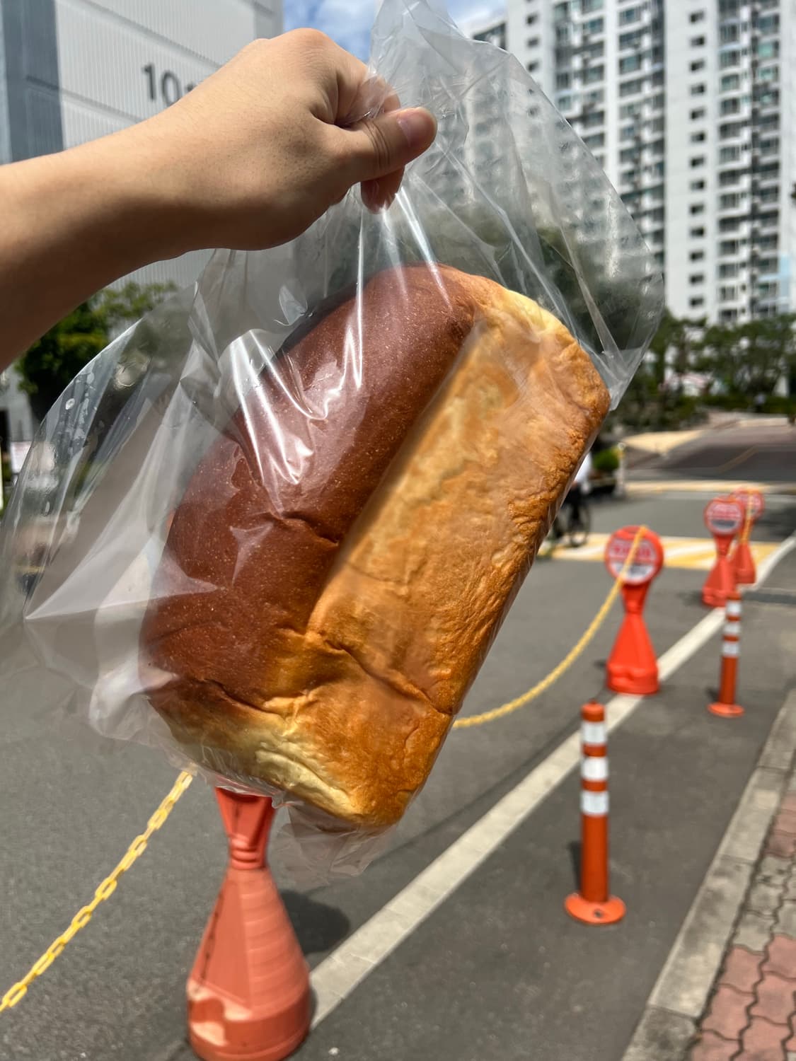 투빌더스하우스 하프 팬츠 상품이미지1