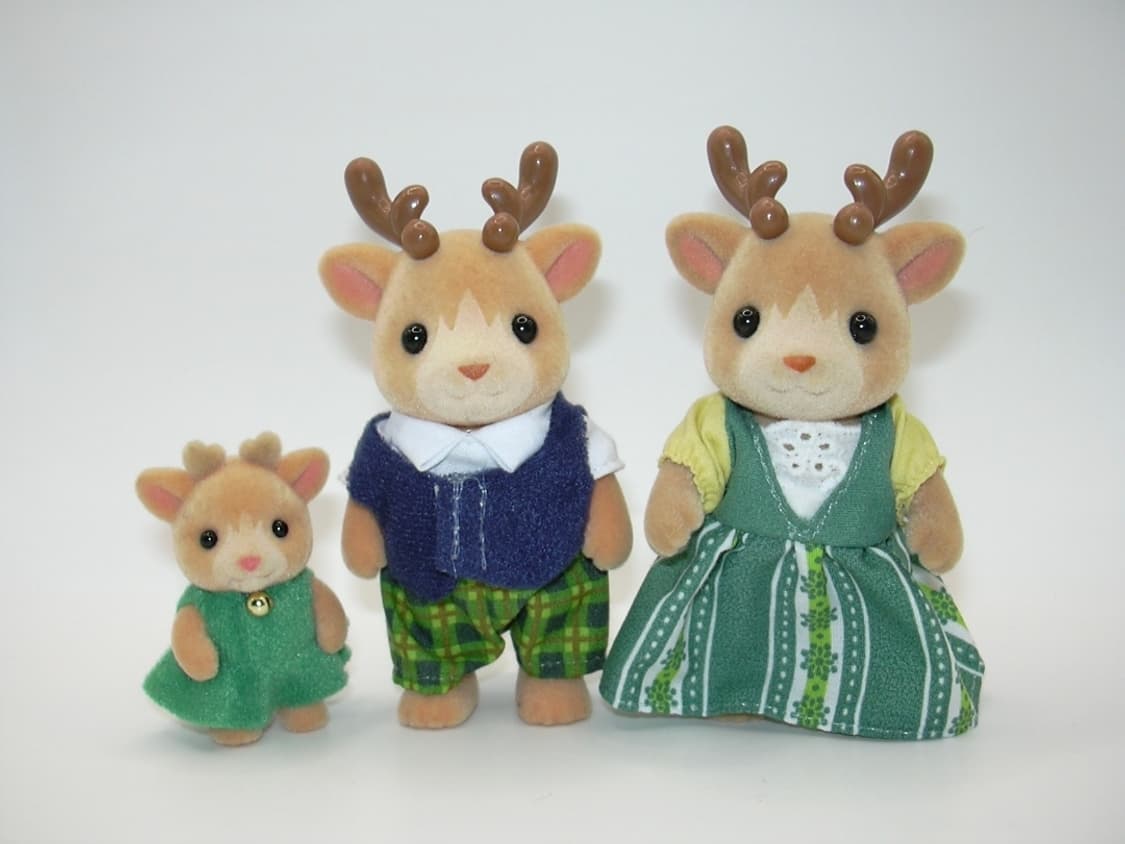 🫧 혜인픽 📸 니콘 쿨픽스 2000 상품이미지3