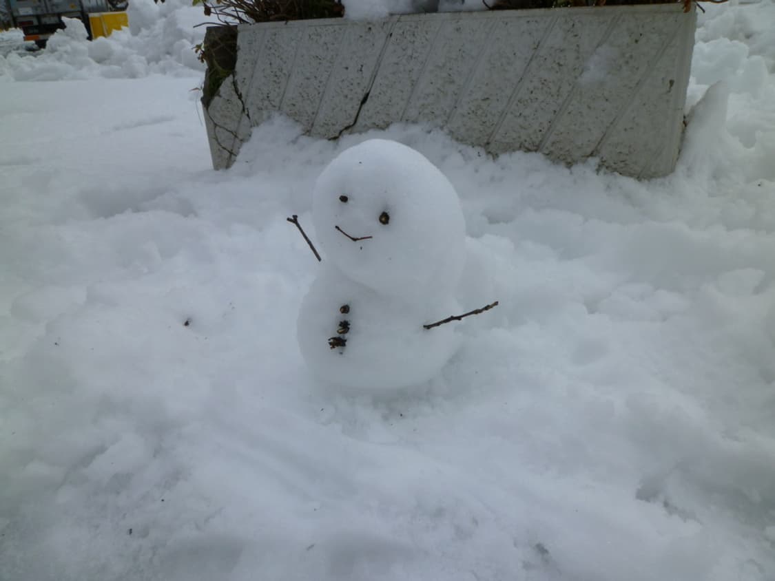 (라이카렌즈✨) 파나소닉 루믹스 dmc-fx66 디카 디지털카메라 상품이미지8