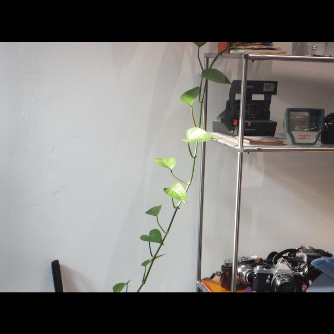 후지 파인픽스 Z100EXR  루비핑크글로시💗빈티지 디카 디지털카메라 상품이미지4