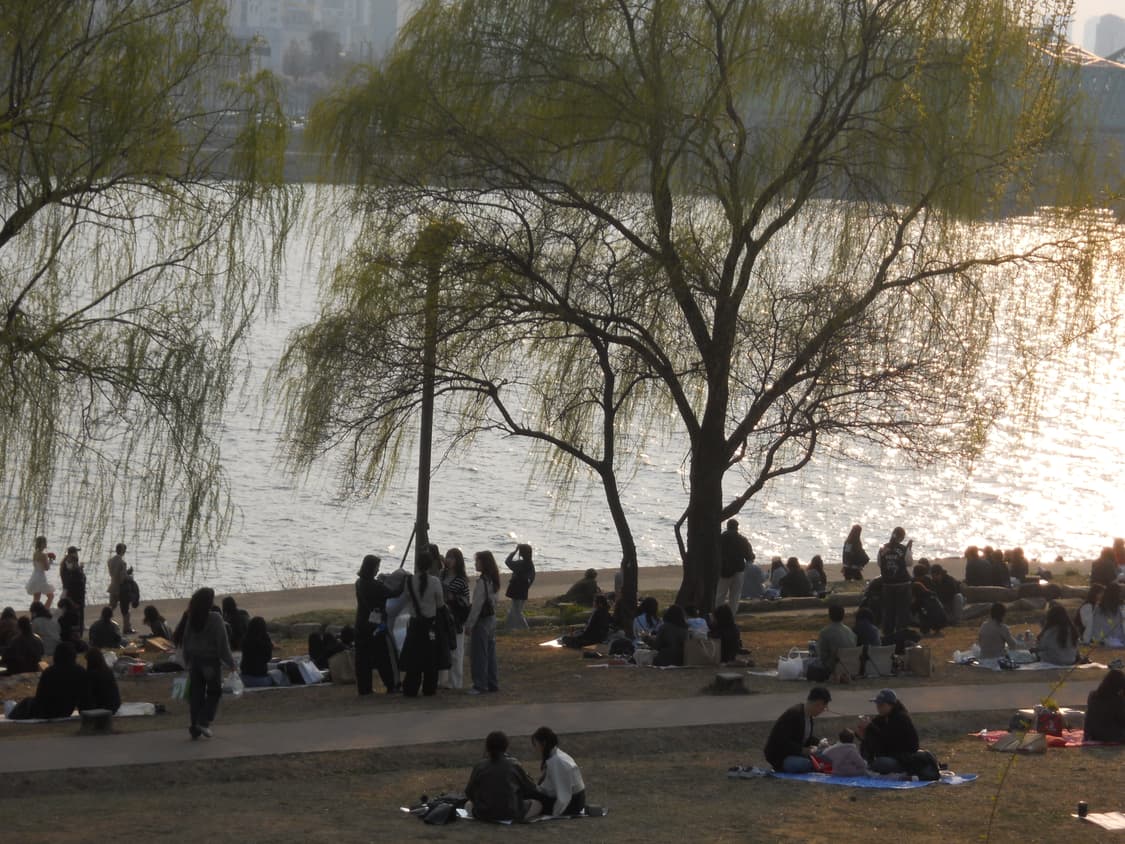 필름색감&입문!) Nikon CoolPix S1 디카 카메라 상품이미지6