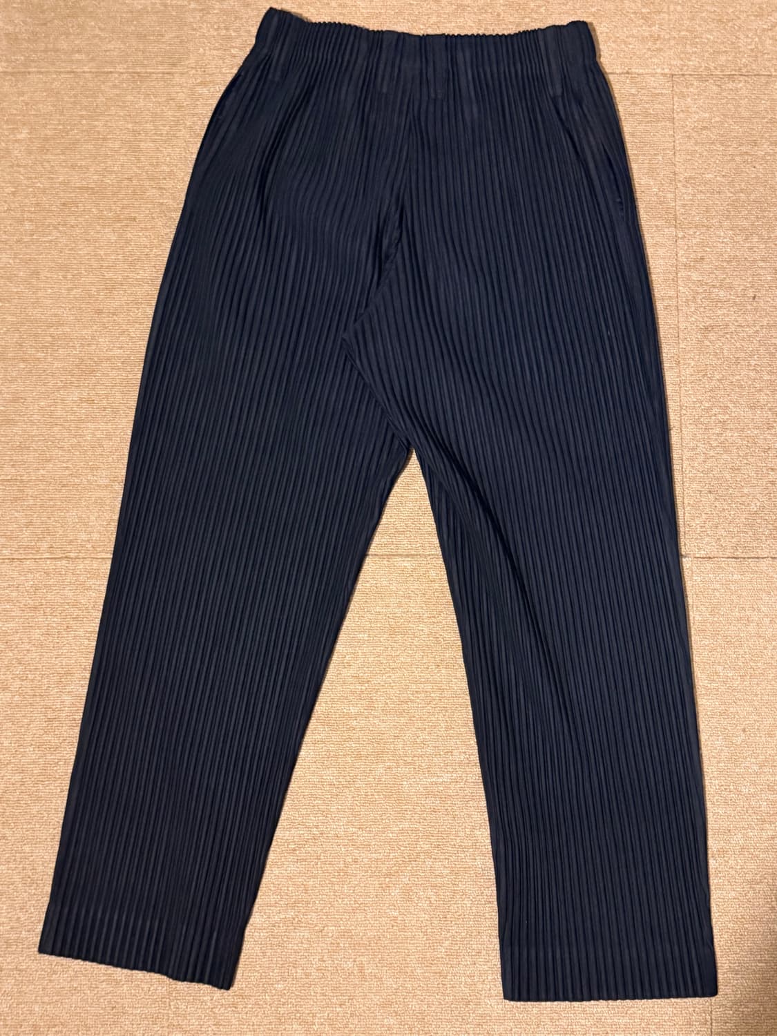 이세이미야케 옴므플리세 베이직 팬츠 네이비 1  상품이미지3