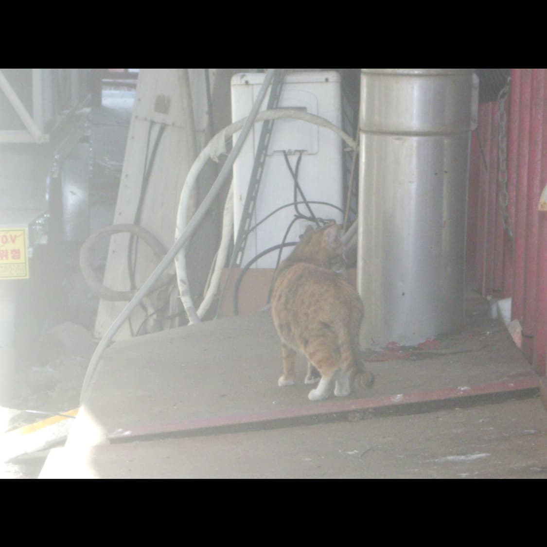 작례⭕️ 펜탁스 옵티오 S55 메탈실버⌚ 상품이미지4