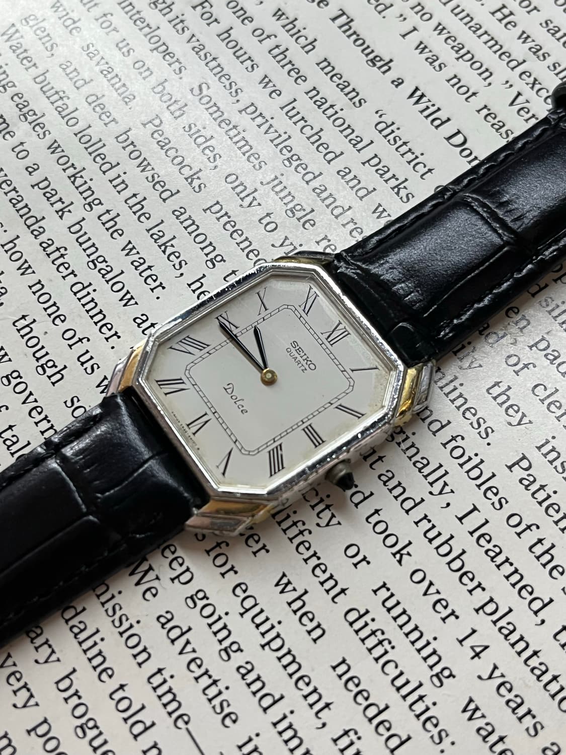 SEIKO DOLCE 쿼츠 상품이미지2