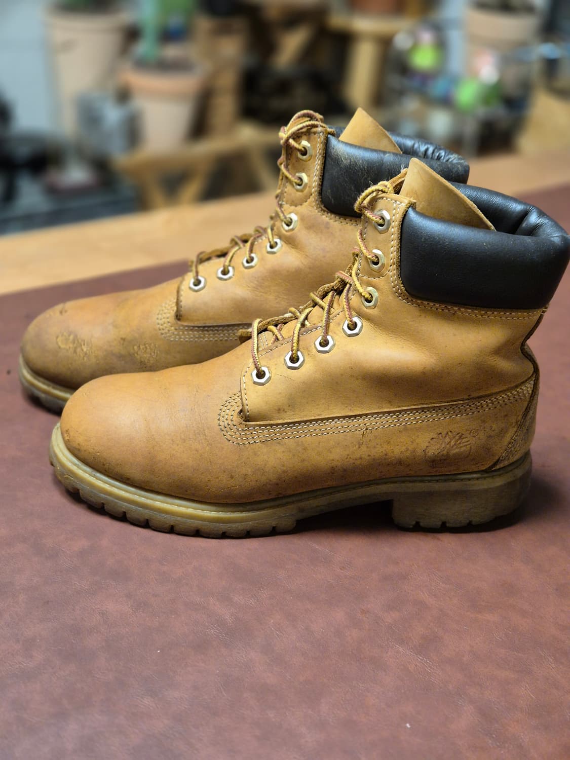 250-255 팀버랜드 6인치 부츠  상품이미지1