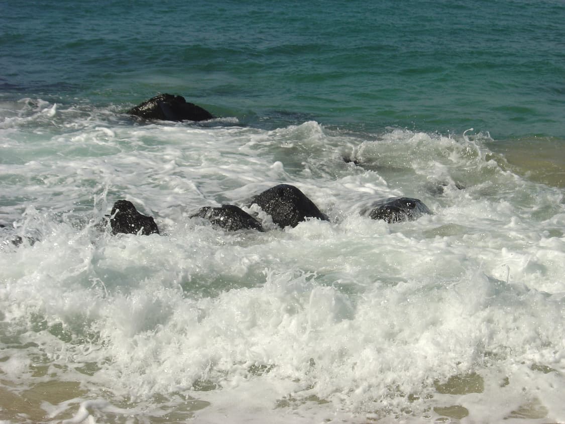 (작례있음)소니 사이버샷 p10 dsc p10 빈티지 디카 상품이미지6