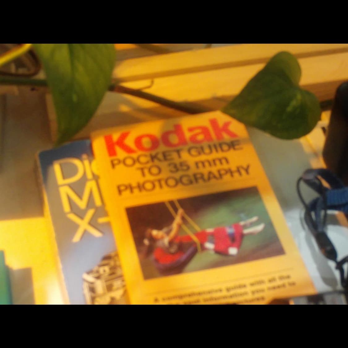 켄코 DSC PR014  옐로우 캔디🍋 빈티지 디카 디지털카메라 상품이미지3