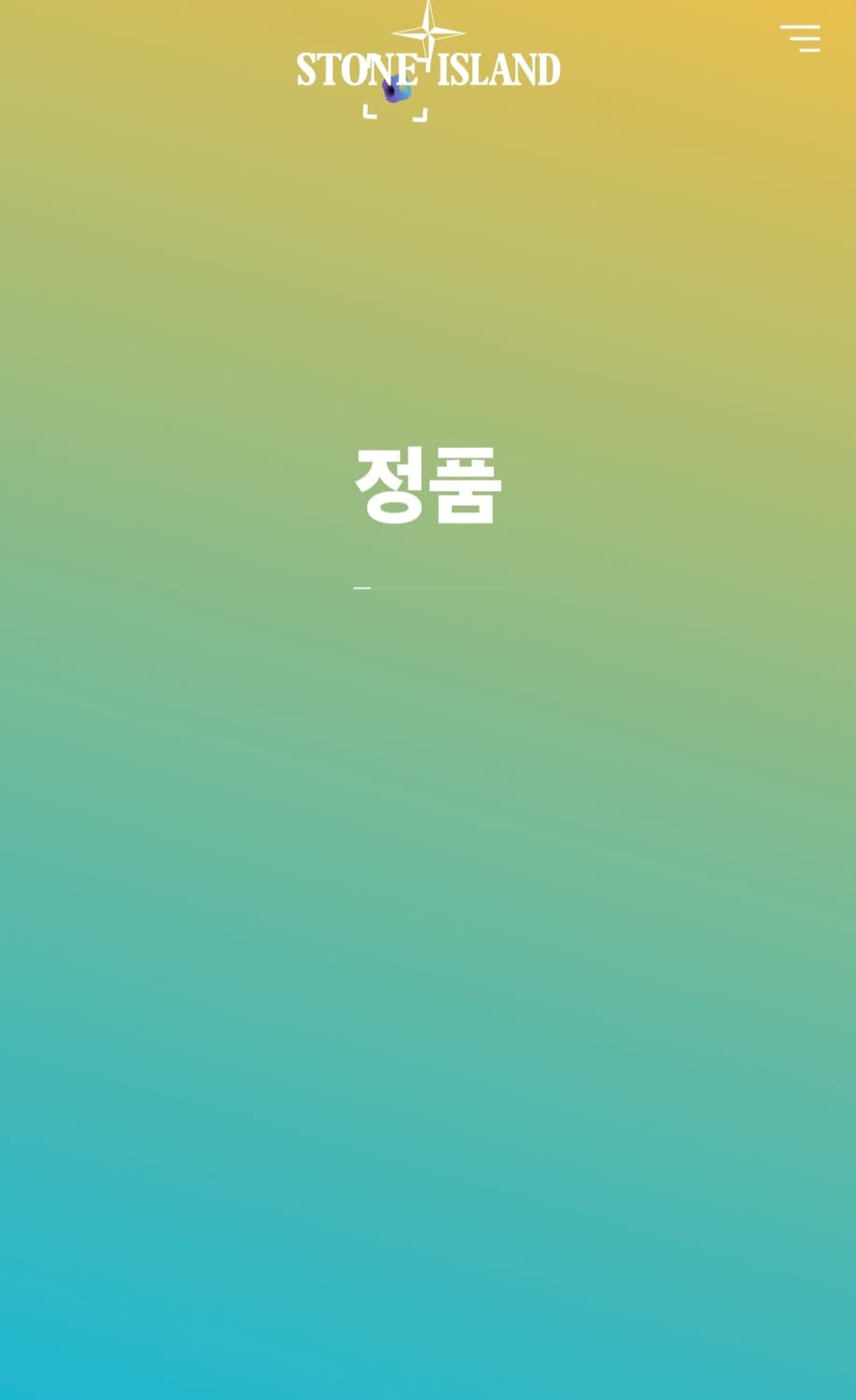 스톤아일랜드 아카이브 로고 프린트 티셔츠 XL 상품이미지8