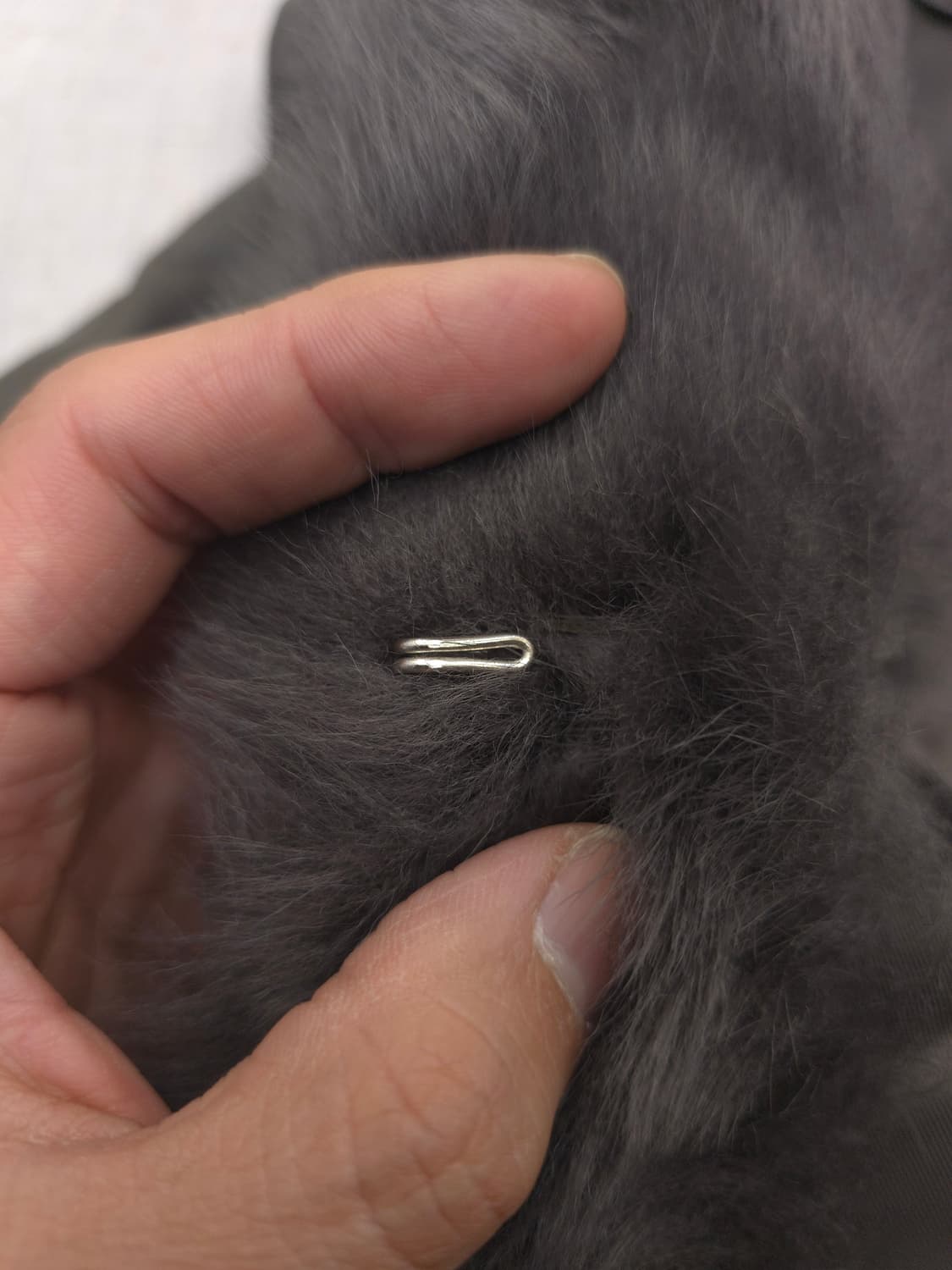 헤스티지 스타일 가죽 롱 코트 폭스퍼 상품이미지8