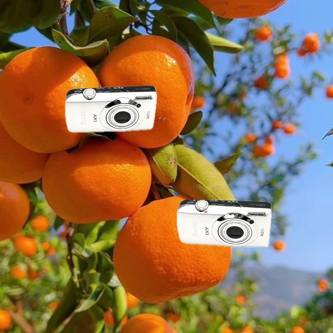 인플루언서&초희귀!) Canon IXUS 210 디카 카메라 상품이미지1