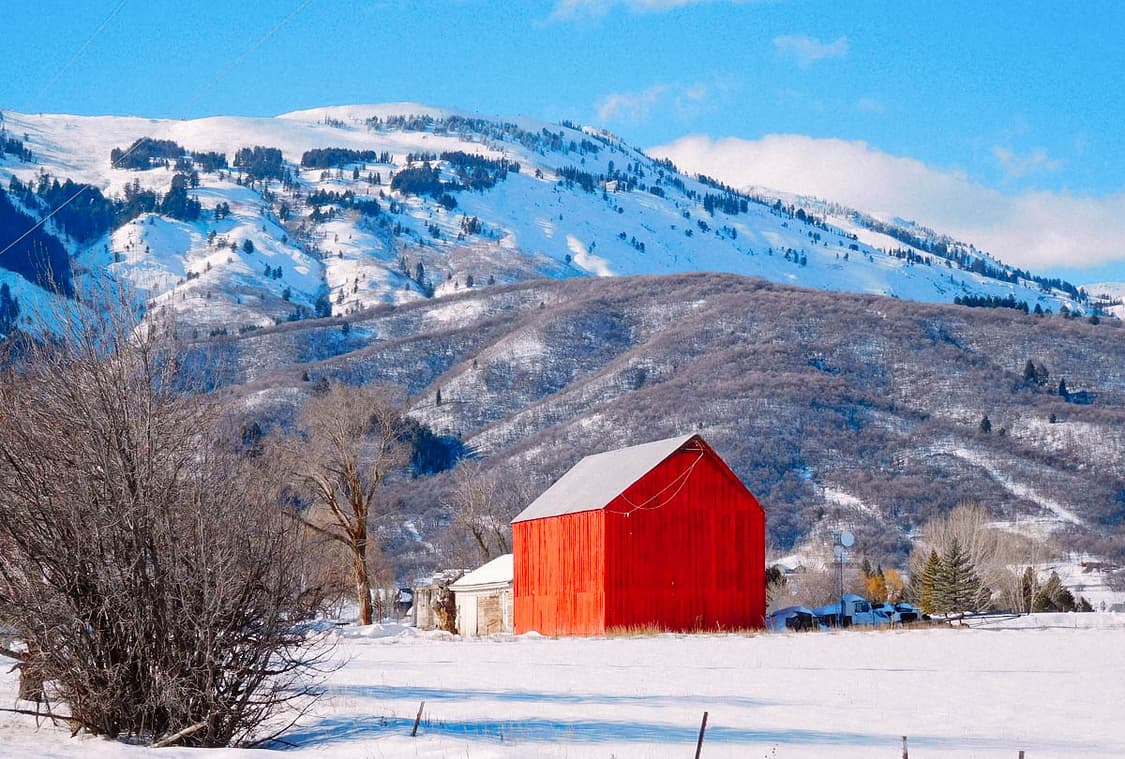 Fujifilm FinePix A825 (후지필름 파인픽스 A825) 상품이미지8