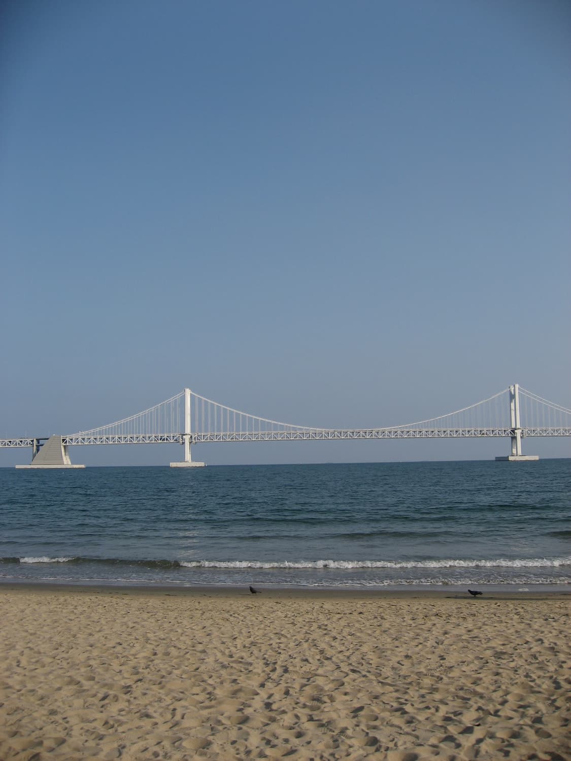 (인물/뽀용)Canon IXY 800 IS 캐논 익서스 IXUS 800 상품이미지5