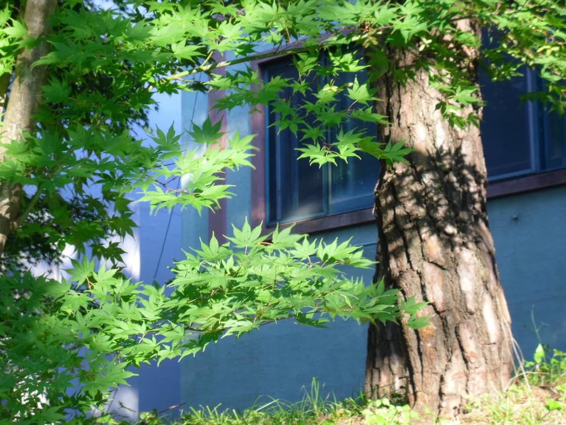 삼성 VLUU PL90 상품이미지4