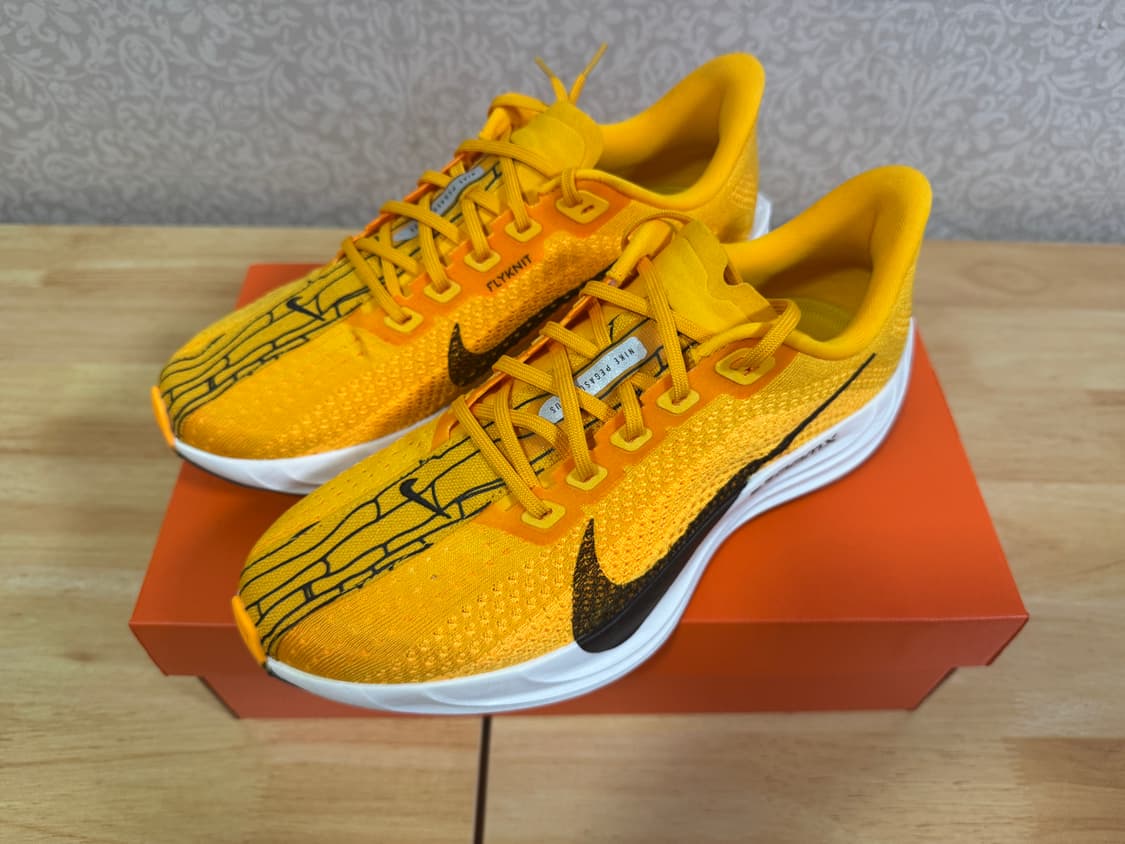 [265] 나이키 페가수스 플러스 유니버시티 골드 상품이미지2