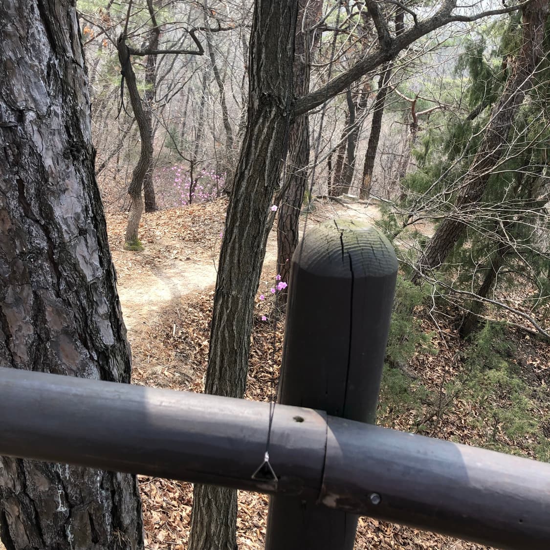 아무것도 아닌 말에 4 🥿  상품이미지5