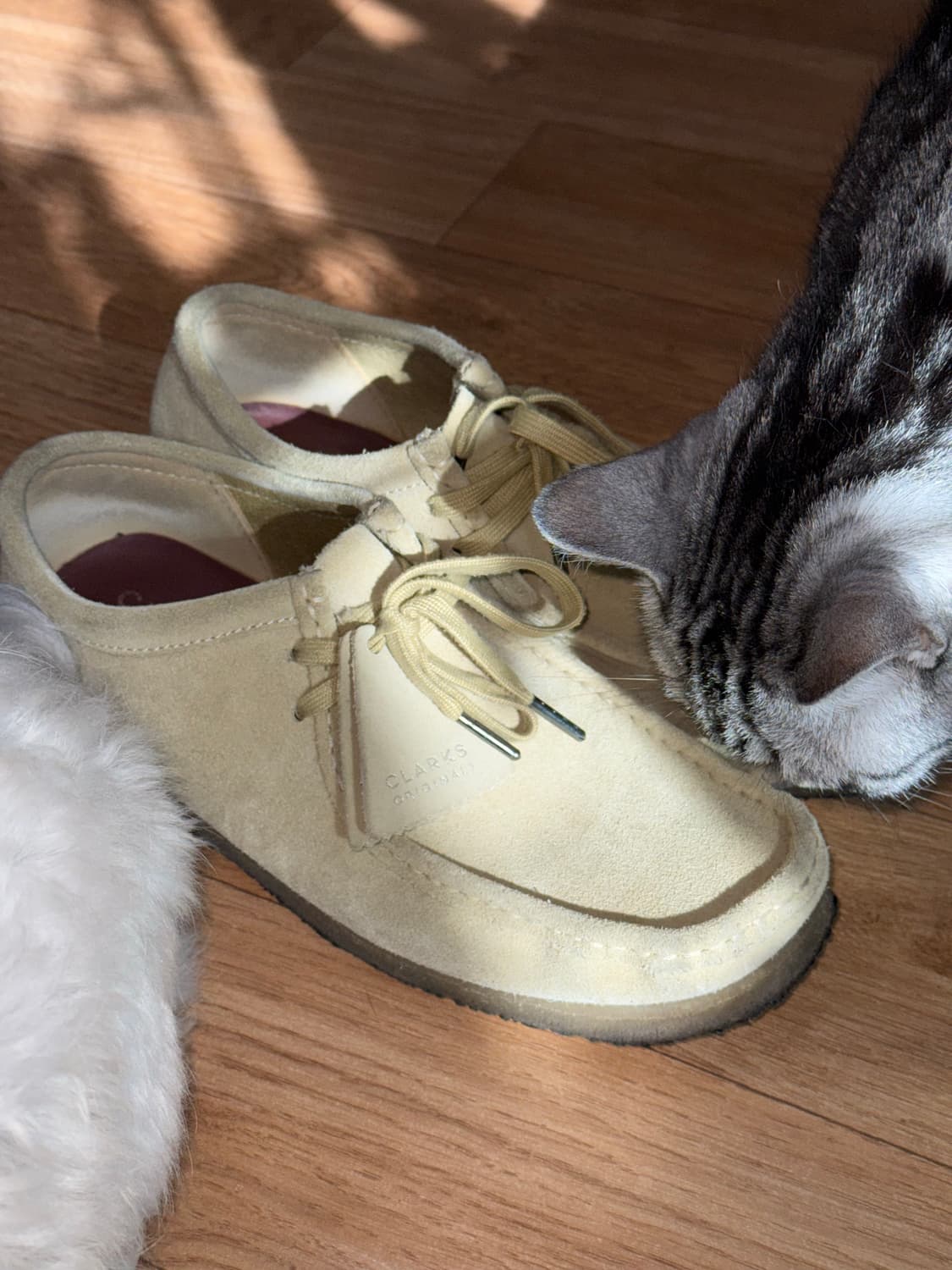 클락스 왈라비 메이플 스웨이드 상품이미지1