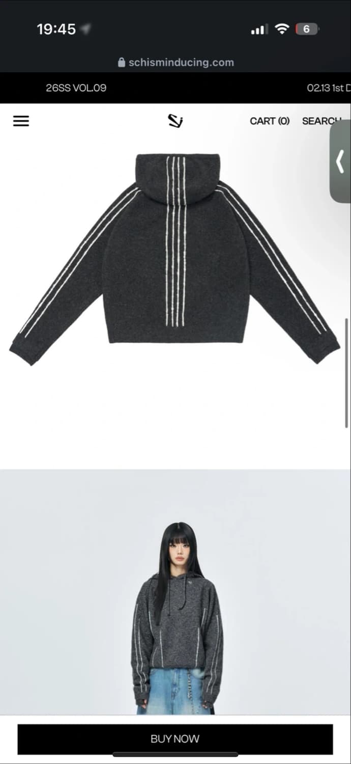 SCHISM PARALLEL LINE HOODED SWEATER CHAR 상품이미지2