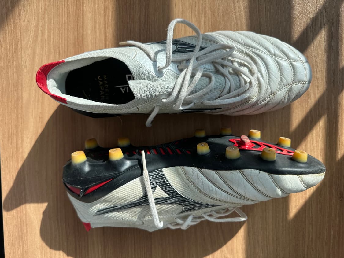 모렐리아 네오 상품이미지2