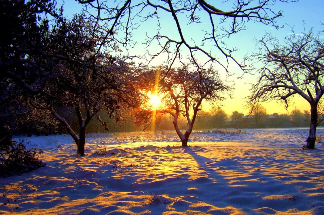 작례O 유튜버 유정 카메라 후지필름 파인픽스 f10 디지털카메라 디카 상품이미지4