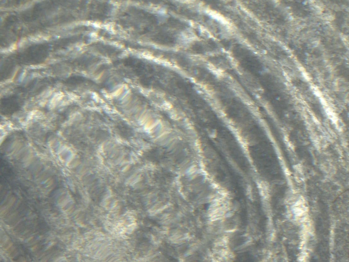 [주인장 픽,,✨️]CASIO EXILIM EX-Z700 상품이미지8