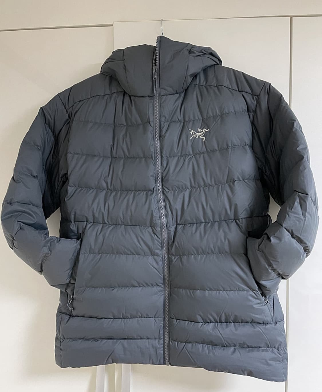 아크테릭스 토륨 후디  L 상품이미지1