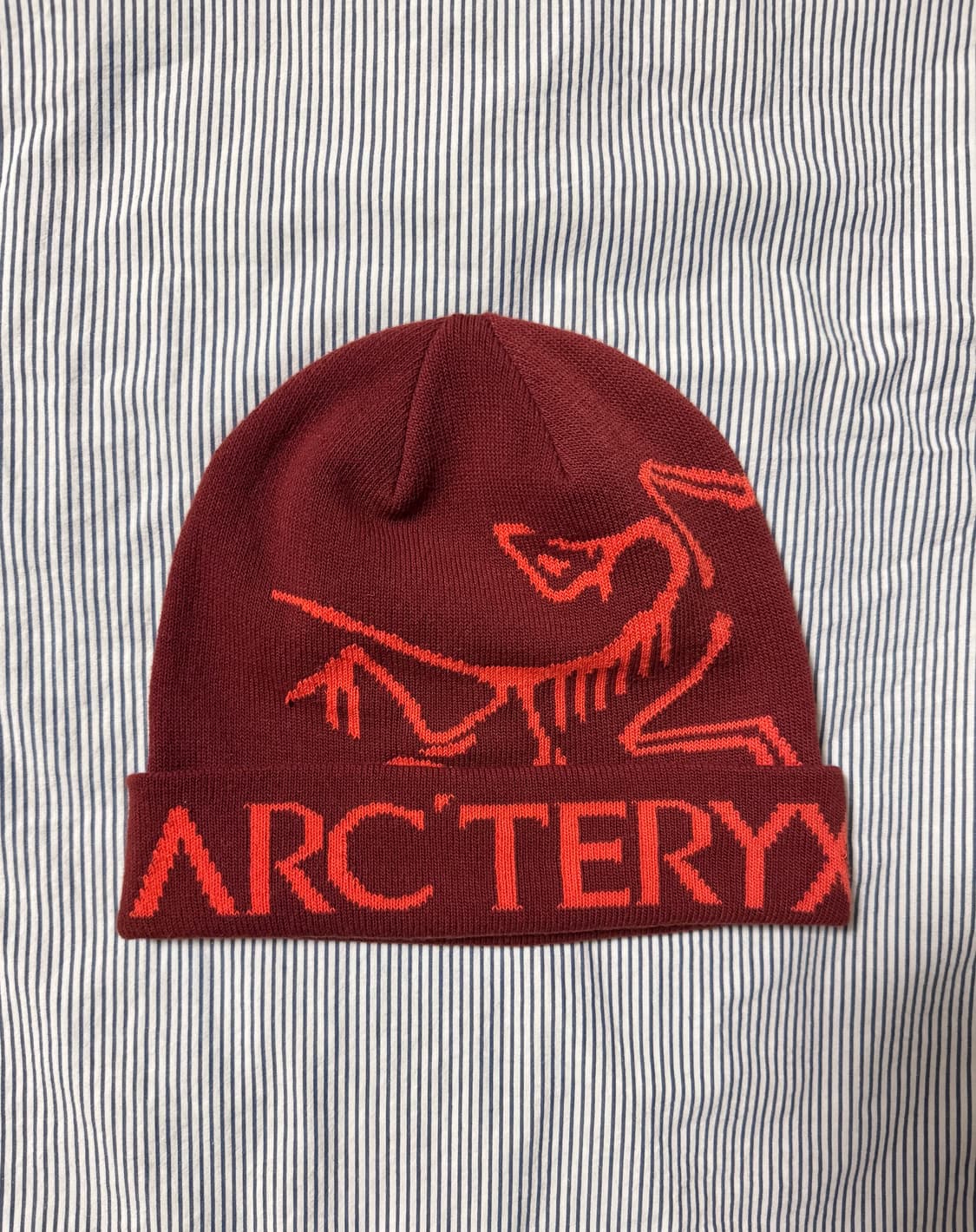 아크테릭스 버드 워드 토크 비니 세쿼이아 상품이미지1