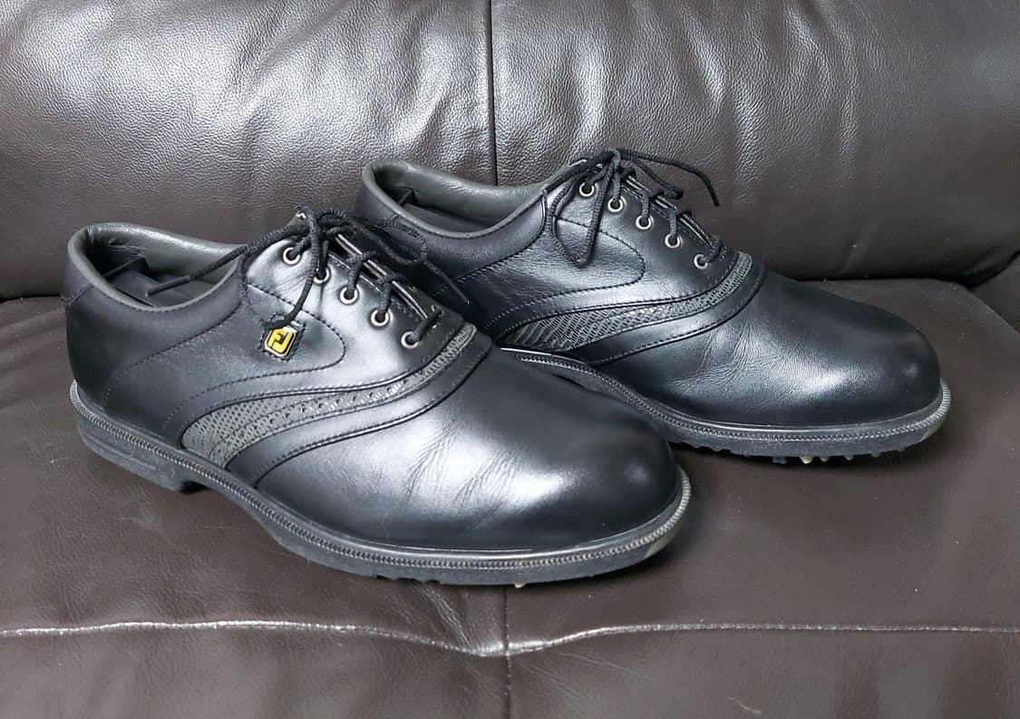 풋조이 AQL시리즈 클레식 남성 골프화 (250mm)

 상품이미지2