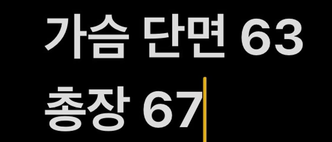 [ 정품/110 ] 롯데 자이언츠 반집업 바람막이 b14 상품이미지9