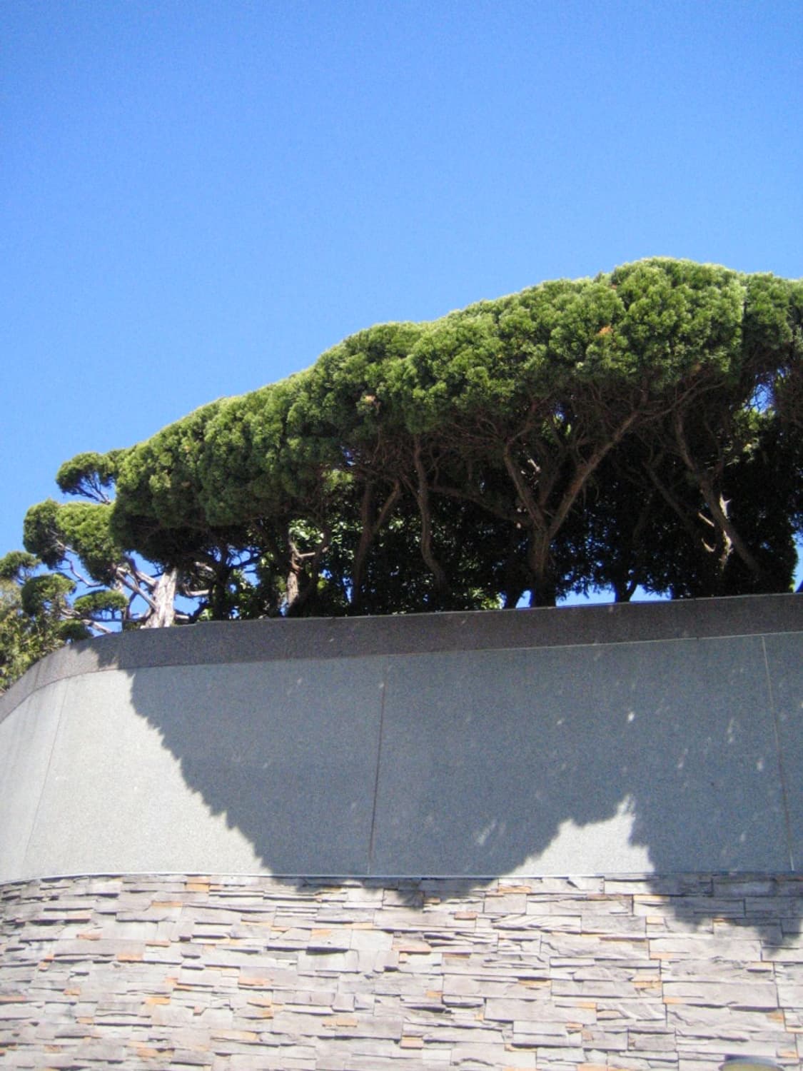 [작례O]Canon IXY50(IXY40)  상품이미지7