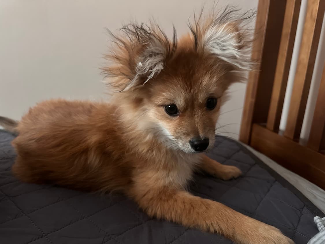 Neighborhood 한원섭 상품이미지1