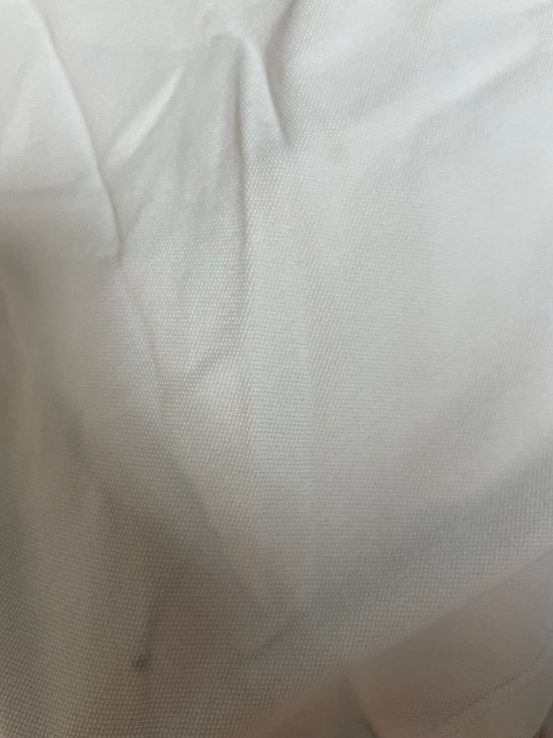 디올옴므/bee 로고 pk셔츠/M 상품이미지3