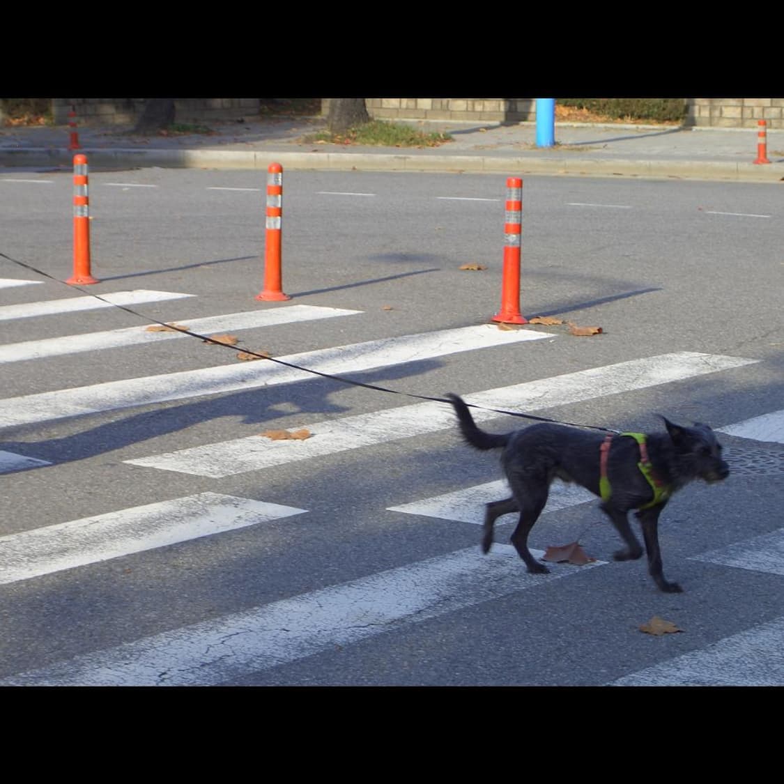 카시오 QV-R51 박스 실버 메탈릭⌚빈티지 디카 디지털카메라 상품이미지7