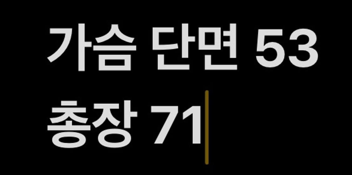 [ 정품/L,100 ] 컬럼비아 반팔 카라티 b16 상품이미지6