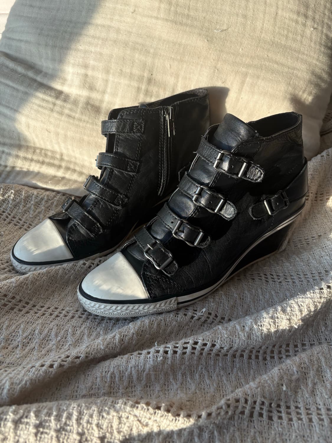 Ash 아쉬 웨지힐 스티커즈 상품이미지4