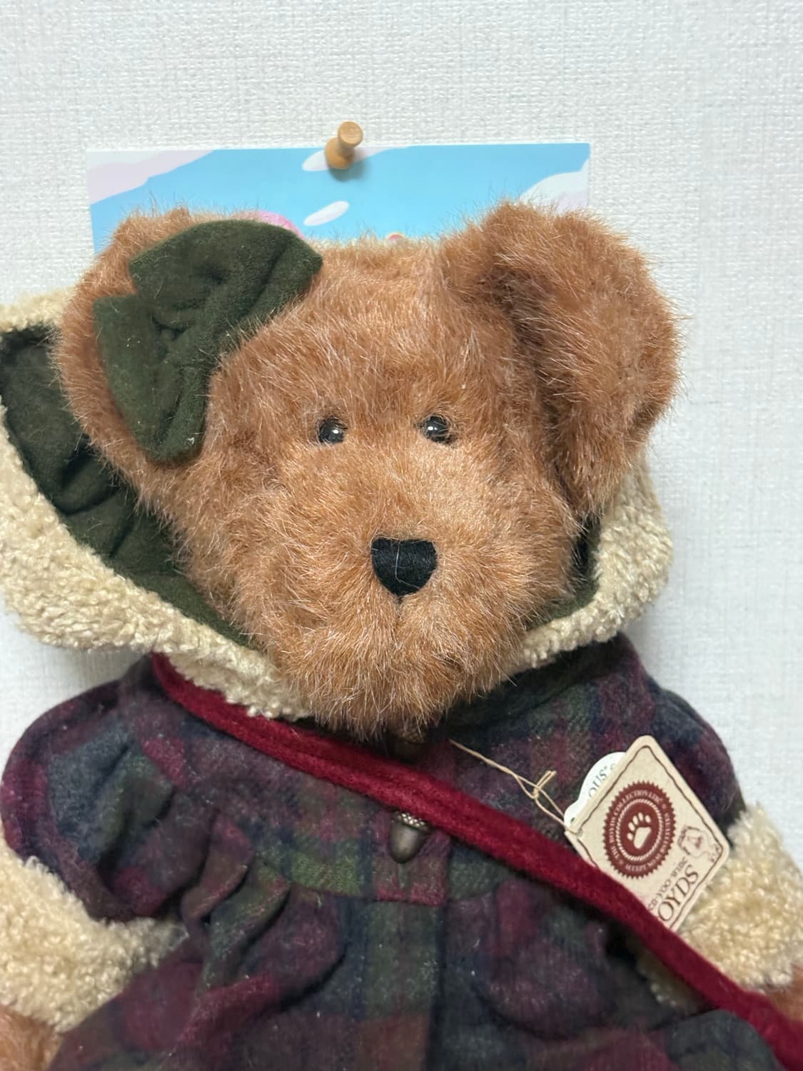 보이즈베어 상품이미지3