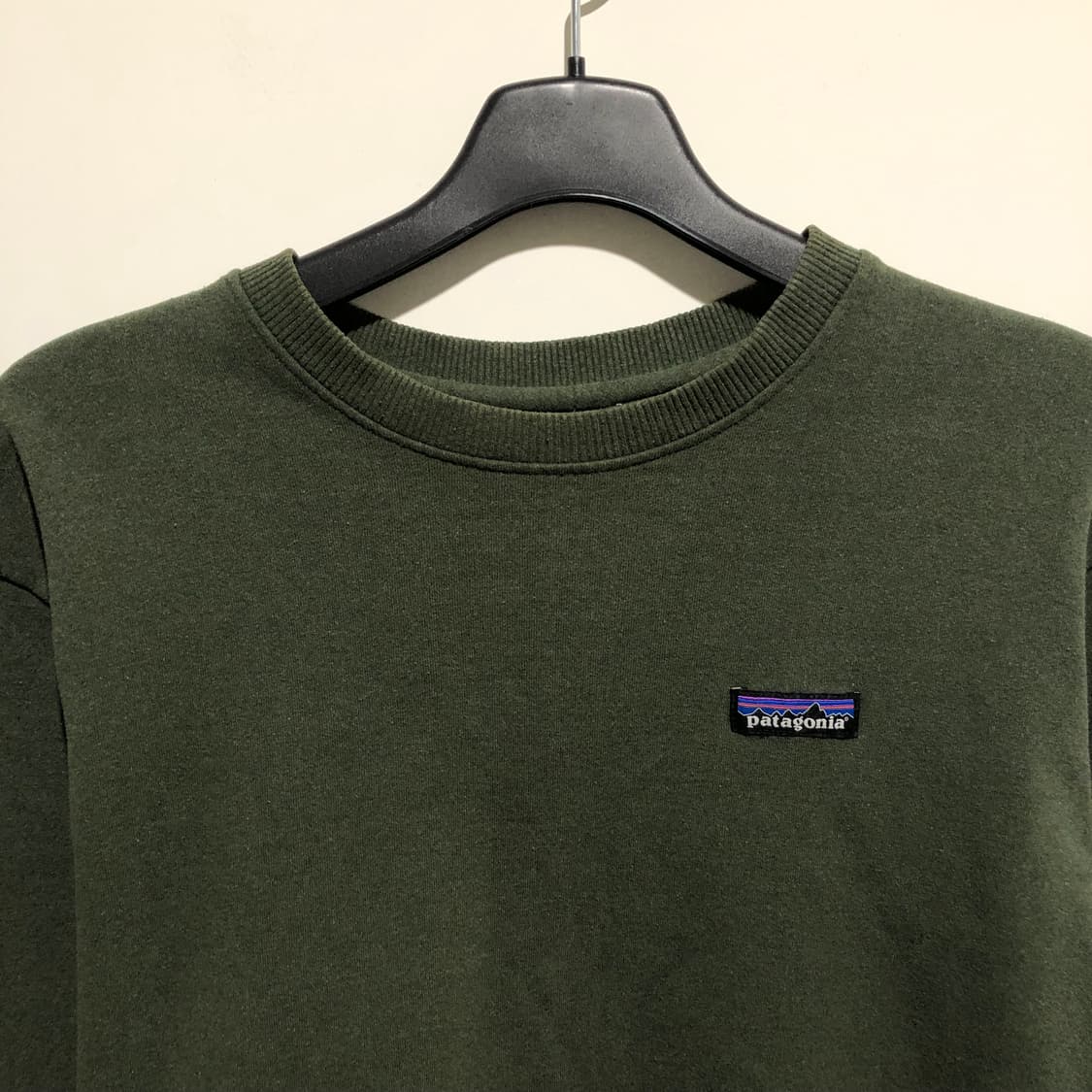파타고니아 맨투맨 상품이미지2