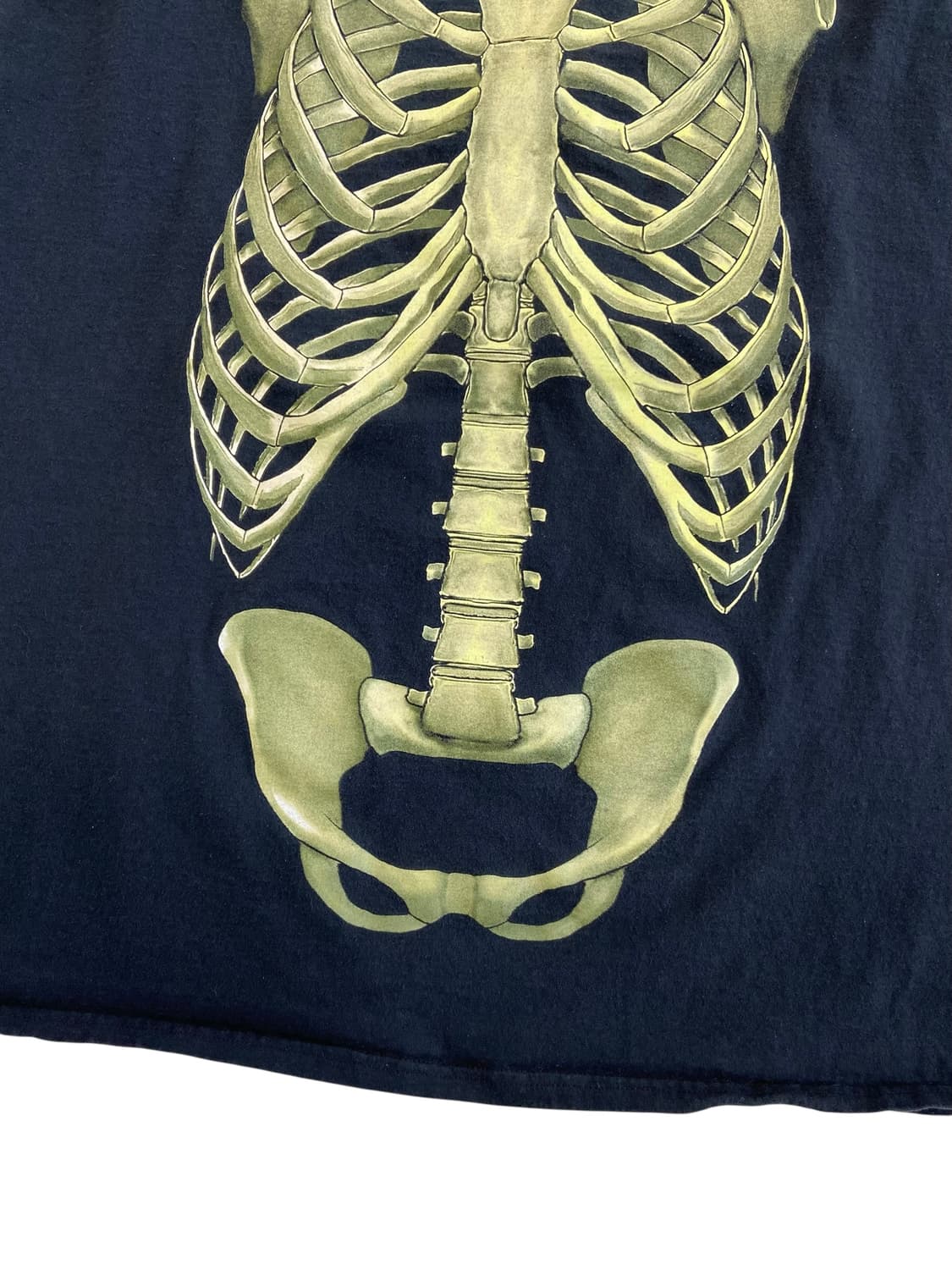 Glow in the Dark 스켈레톤 아나토미 반팔티셔츠 상품이미지5