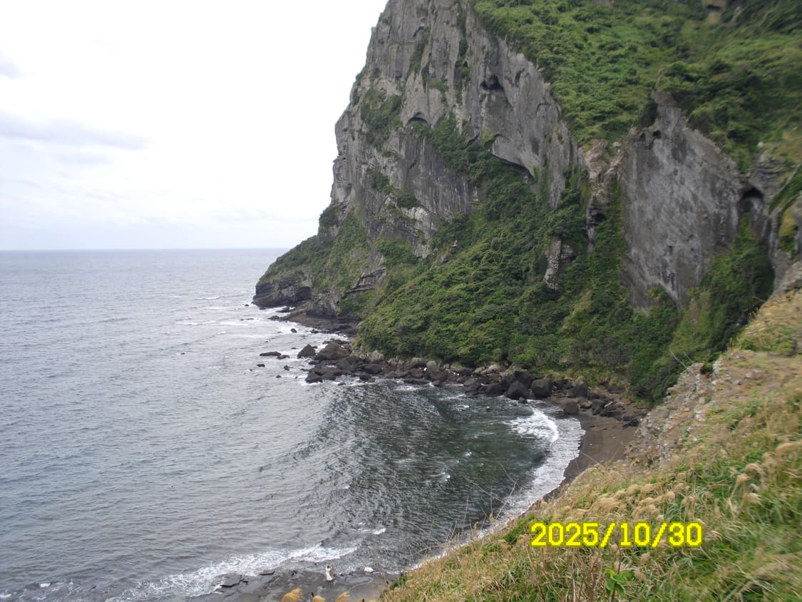 삼성 VLUU PL90 상품이미지10