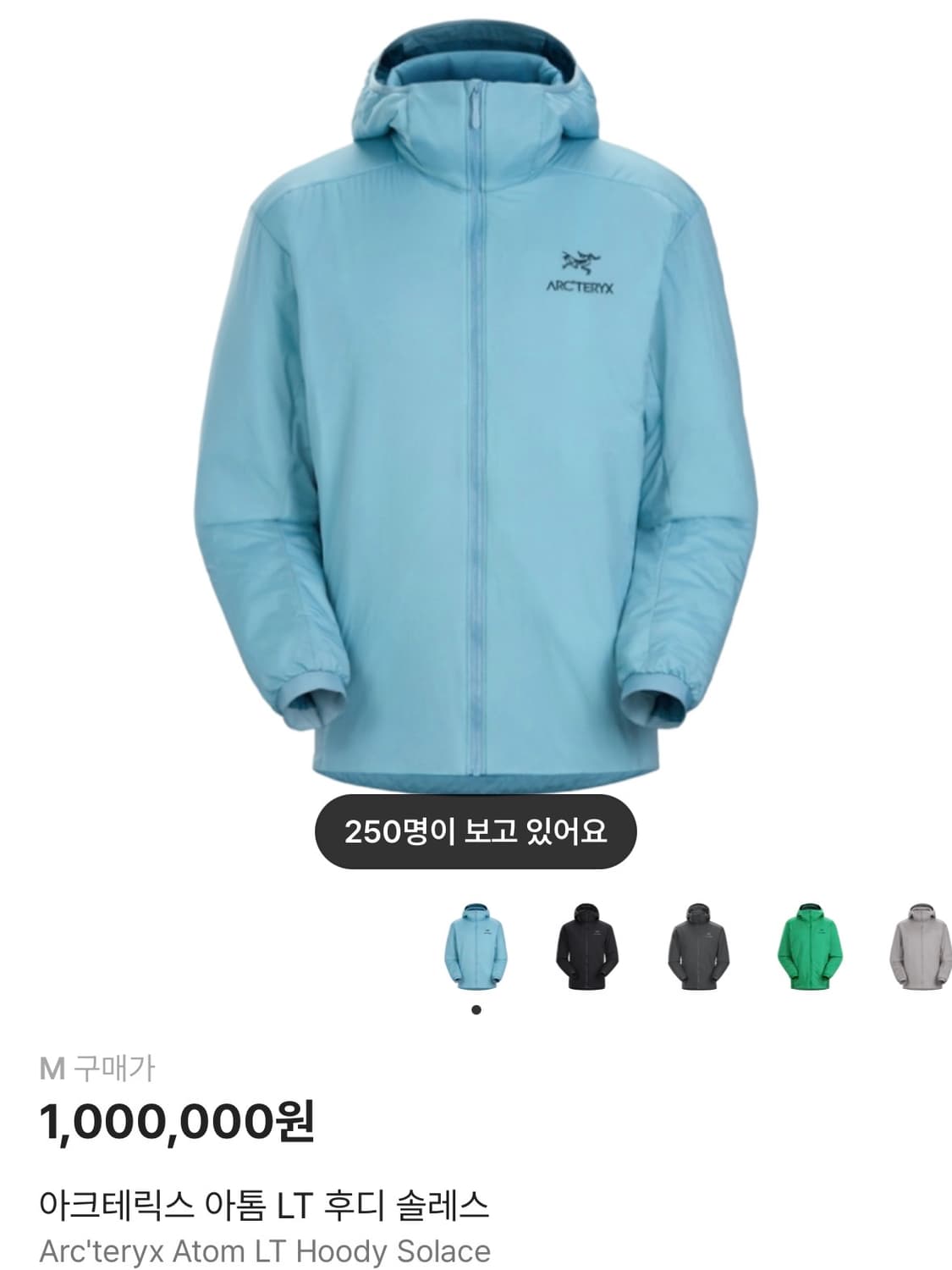 아크테릭스 아톰 LT 후디 솔레스 상품이미지1