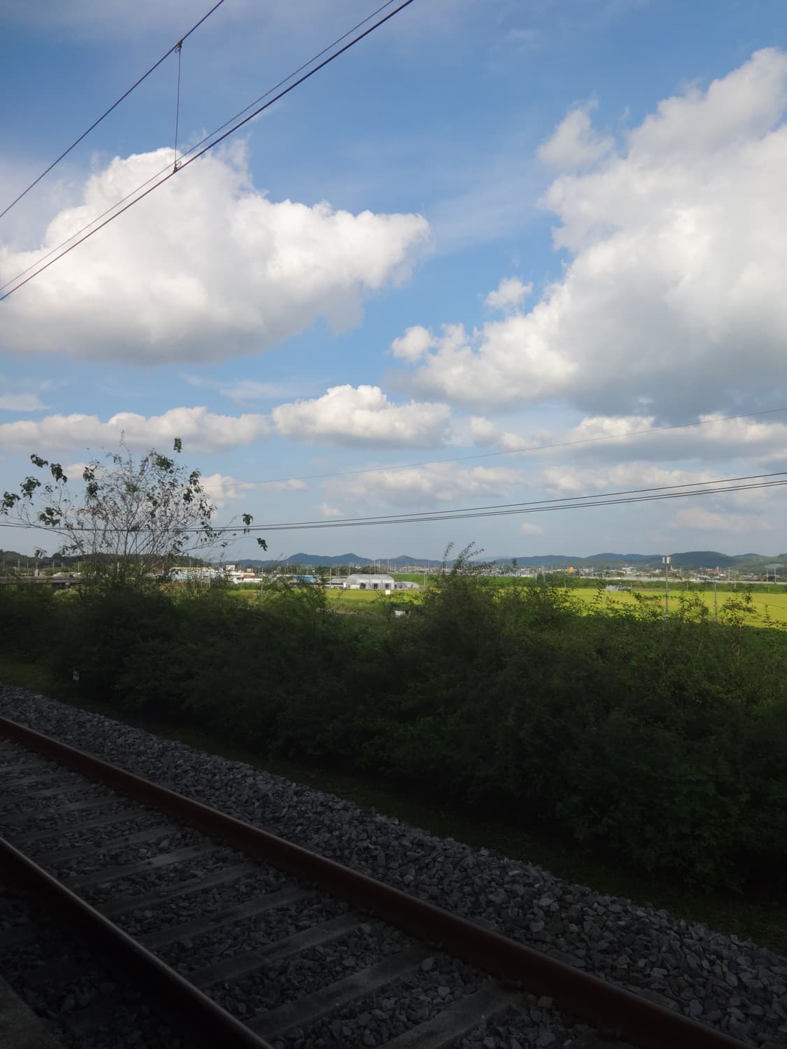 소니 사이버샷 cyber-shot dsc WX80 상품이미지10