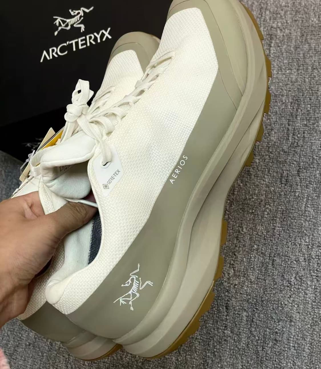 아크테릭스 에어리어스 FL 2 고어텍스 아크틱 실크 스모크 상품이미지5